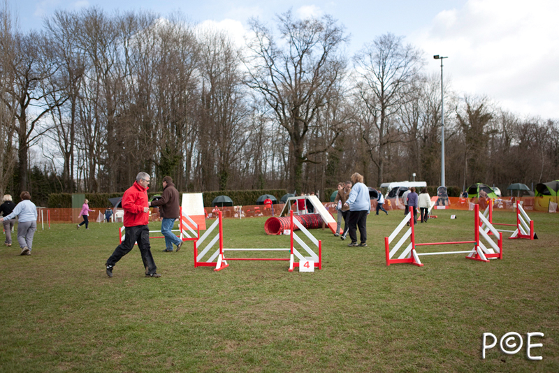 090315_MG_1761.jpg - Agility à Chamouilley