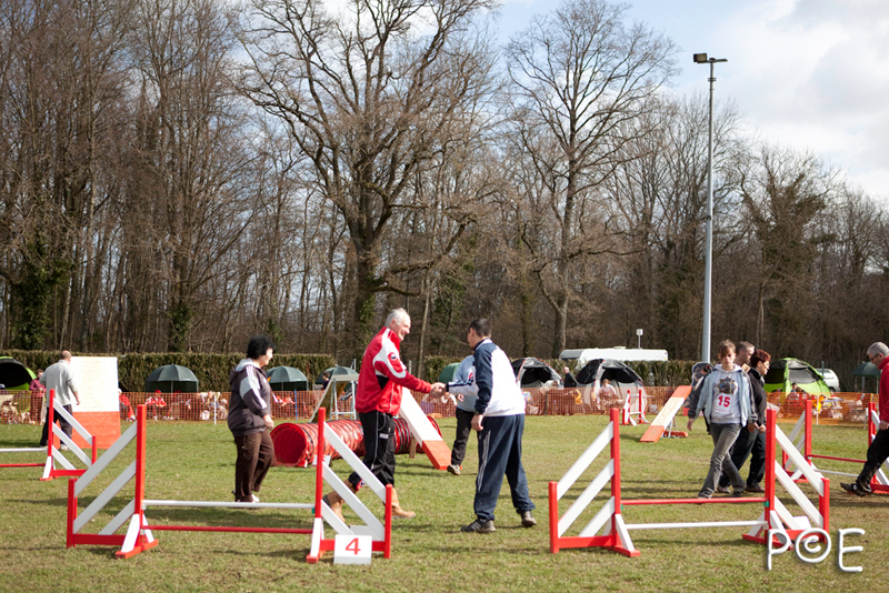 090315_MG_1764.jpg - Agility à Chamouilley
