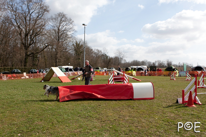 090315_MG_1779.jpg - Agility à Chamouilley