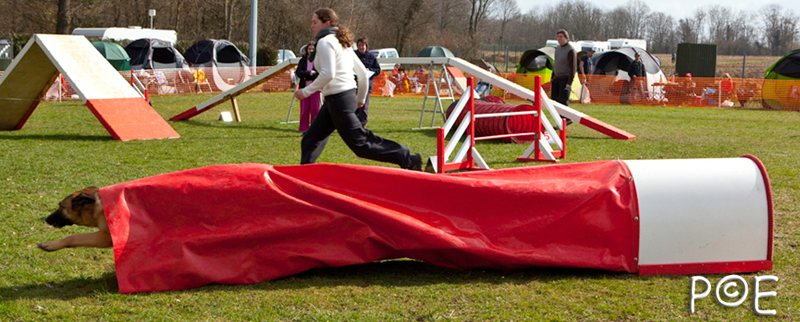 090315_MG_1787.jpg - Agility à Chamouilley