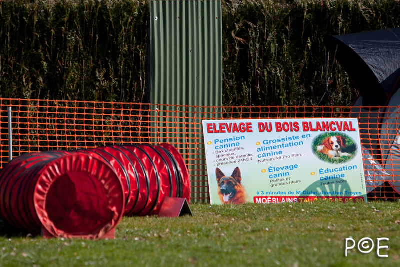 090315_MG_2857.jpg - Agility à Chamouilley
