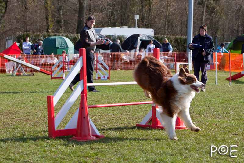 090315_MG_2872.jpg - Agility à Chamouilley
