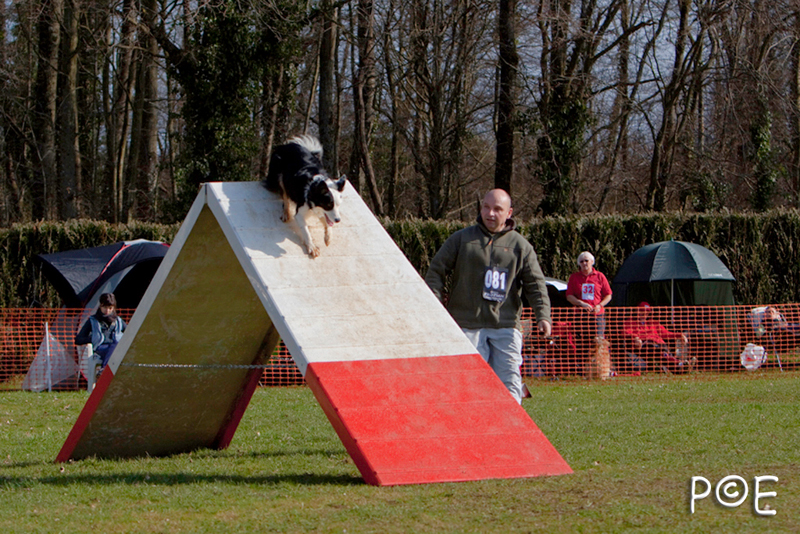 090315_MG_2875.jpg - Agility à Chamouilley
