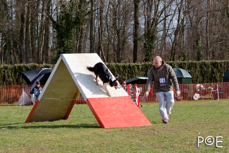 090315_MG_2879.jpg - Agility à Chamouilley