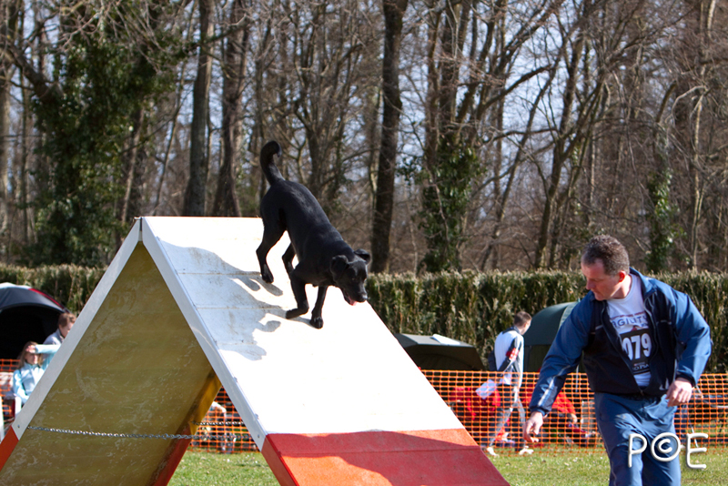 090315_MG_2884.jpg - Agility à Chamouilley