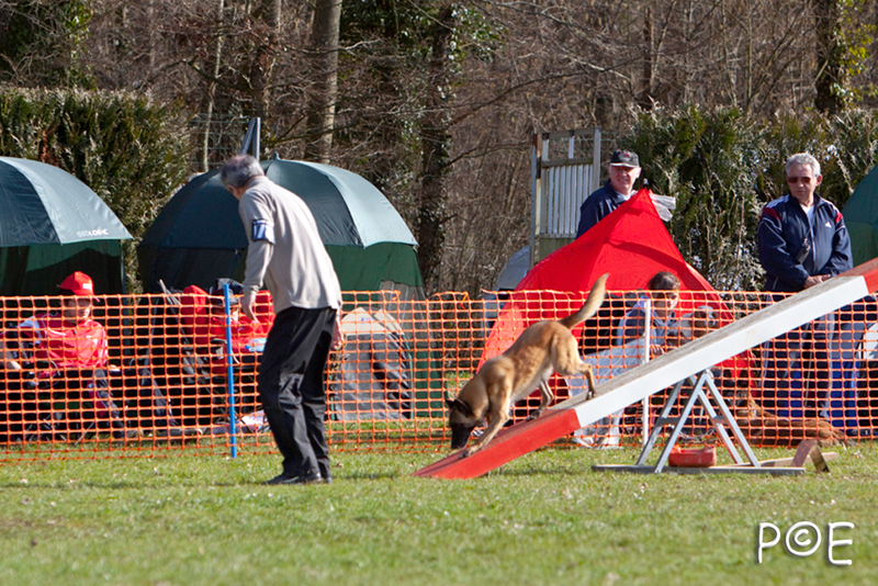 090315_MG_2887.jpg - Agility à Chamouilley