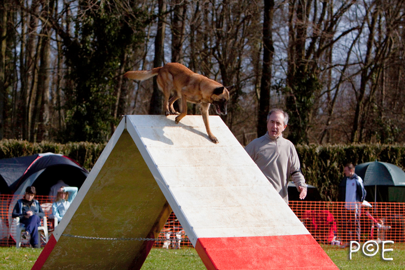 090315_MG_2891.jpg - Agility à Chamouilley