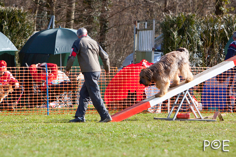 090315_MG_2896.jpg - Agility à Chamouilley