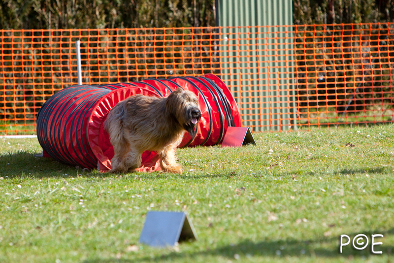 090315_MG_2897.jpg - Agility à Chamouilley