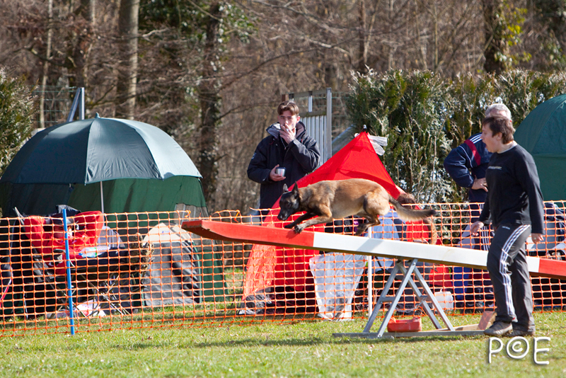 090315_MG_2903.jpg - Agility à Chamouilley