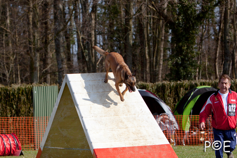 090315_MG_2919.jpg - Agility à Chamouilley