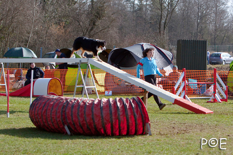 090315_MG_2923.jpg - Agility à Chamouilley