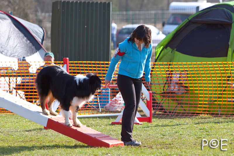 090315_MG_2926.jpg - Agility à Chamouilley