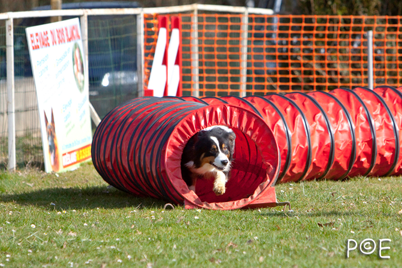 090315_MG_2927.jpg - Agility à Chamouilley