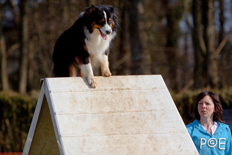 090315_MG_2930.jpg - Agility à Chamouilley