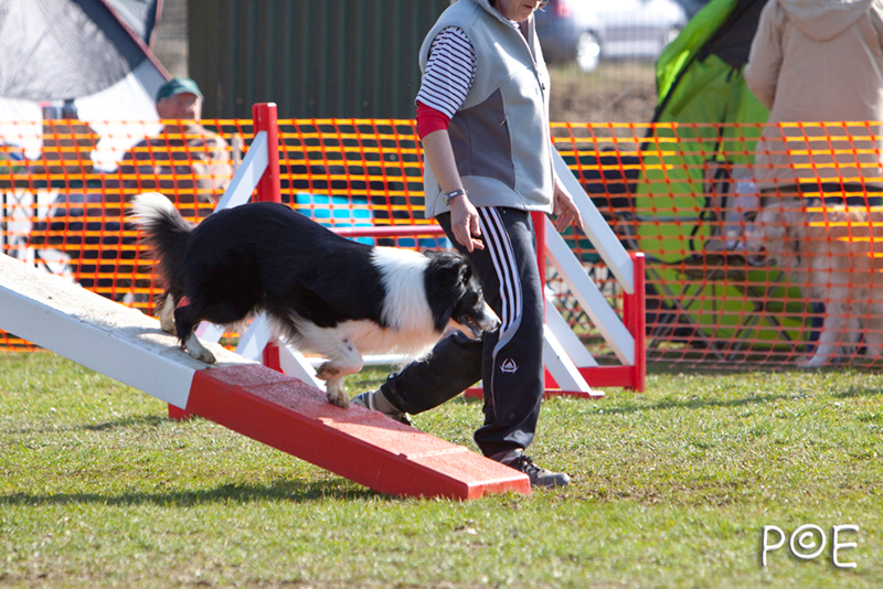 090315_MG_2943.jpg - Agility à Chamouilley