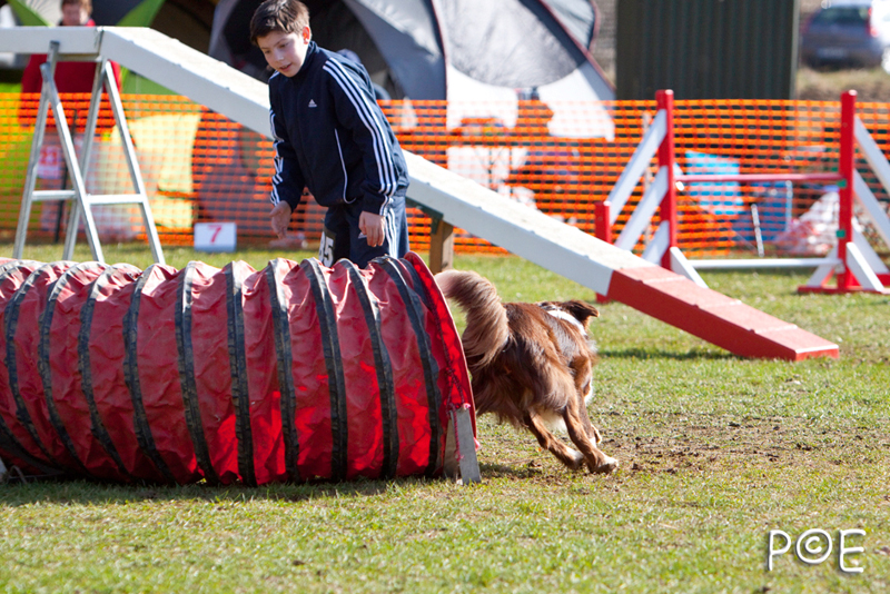 090315_MG_2968.jpg - Agility à Chamouilley