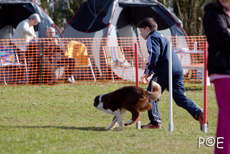 090315_MG_2969.jpg - Agility à Chamouilley