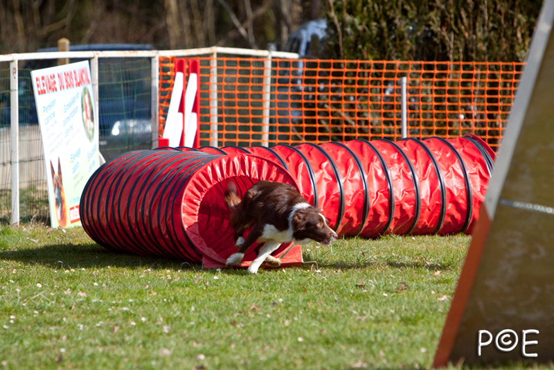 090315_MG_2971.jpg - Agility à Chamouilley
