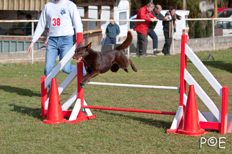090315_MG_2986.jpg - Agility à Chamouilley