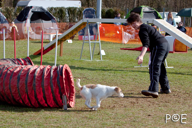090315_MG_2988.jpg - Agility à Chamouilley