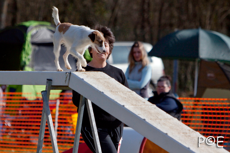 090315_MG_2990.jpg - Agility à Chamouilley
