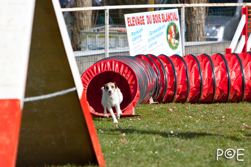 090315_MG_2994.jpg - Agility à Chamouilley