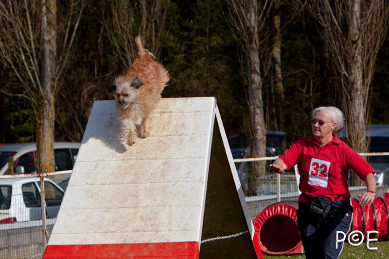 090315_MG_3002.jpg - Agility à Chamouilley