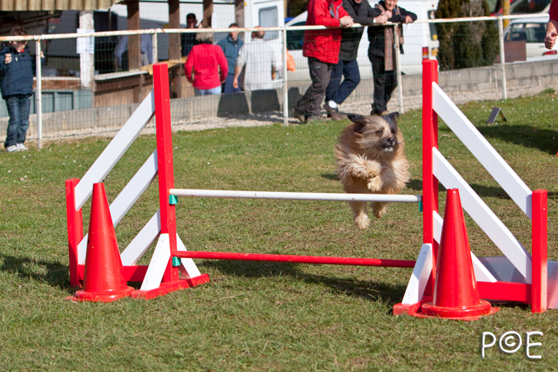 090315_MG_3003.jpg - Agility à Chamouilley