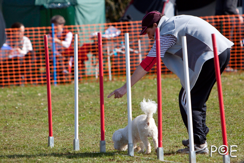 090315_MG_3009.jpg - Agility à Chamouilley