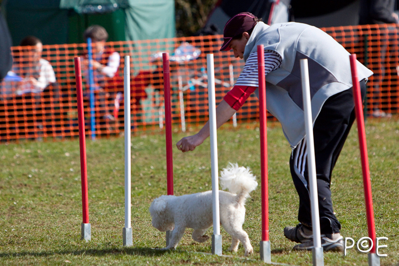 090315_MG_3010.jpg - Agility à Chamouilley