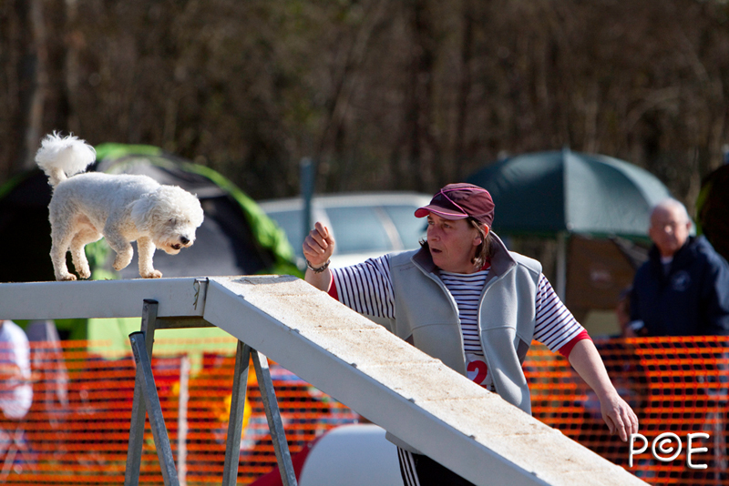 090315_MG_3012.jpg - Agility à Chamouilley