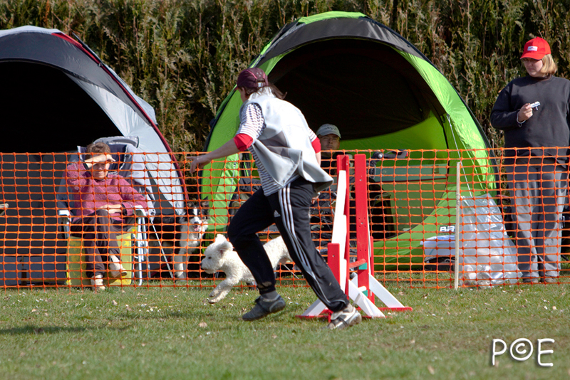 090315_MG_3016.jpg - Agility à Chamouilley
