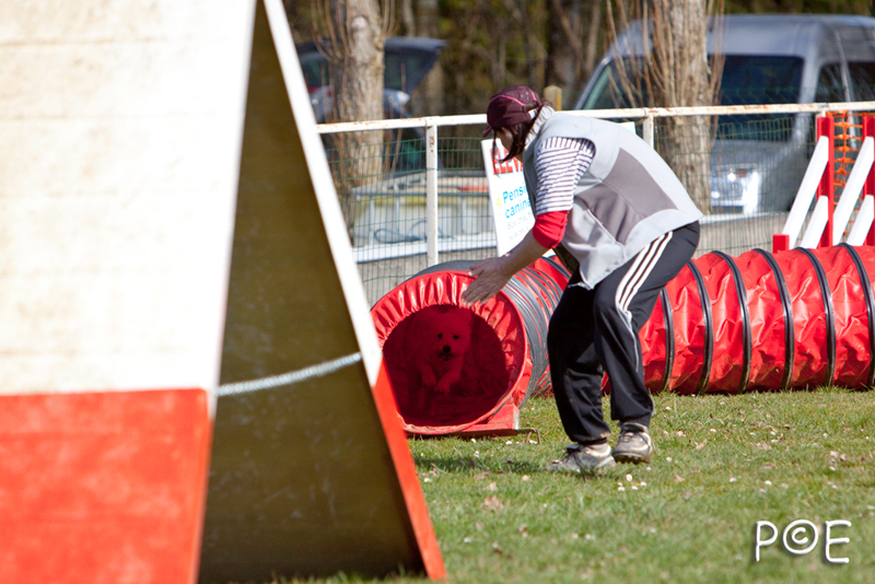 090315_MG_3018.jpg - Agility à Chamouilley