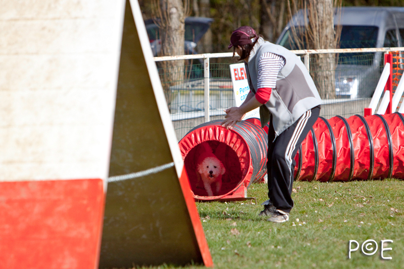090315_MG_3019.jpg - Agility à Chamouilley