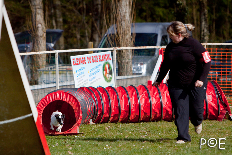 090315_MG_3030.jpg - Agility à Chamouilley