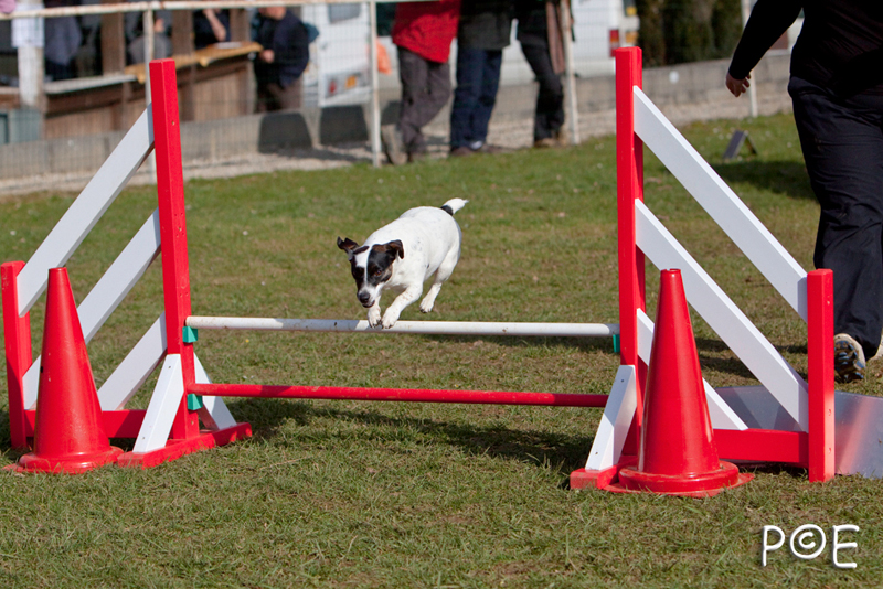 090315_MG_3035.jpg - Agility à Chamouilley