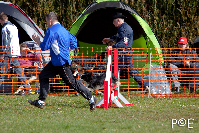 090315_MG_3041.jpg - Agility à Chamouilley