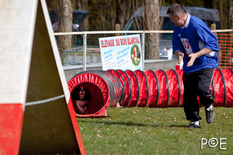 090315_MG_3042.jpg - Agility à Chamouilley