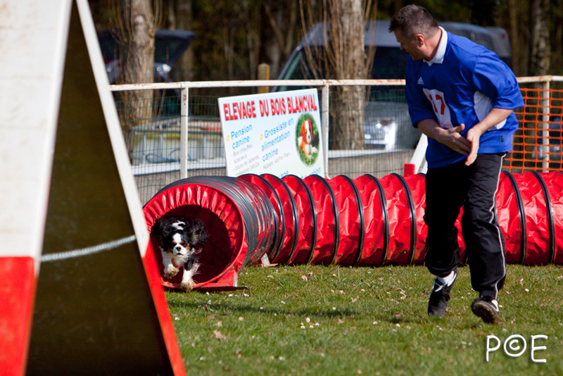 090315_MG_3043.jpg - Agility à Chamouilley