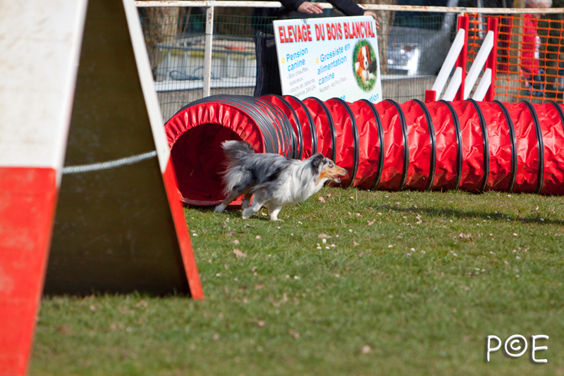 090315_MG_3053.jpg - Agility à Chamouilley