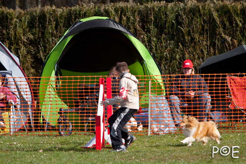090315_MG_3055.jpg - Agility à Chamouilley