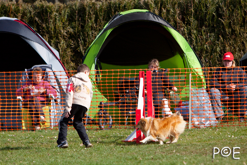 090315_MG_3058.jpg - Agility à Chamouilley