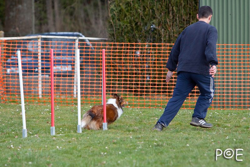 090315_MG_3069.jpg - Agility à Chamouilley