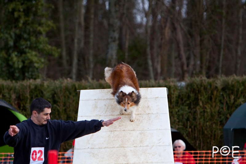 090315_MG_3070.jpg - Agility à Chamouilley