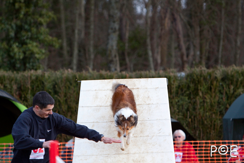 090315_MG_3071.jpg - Agility à Chamouilley