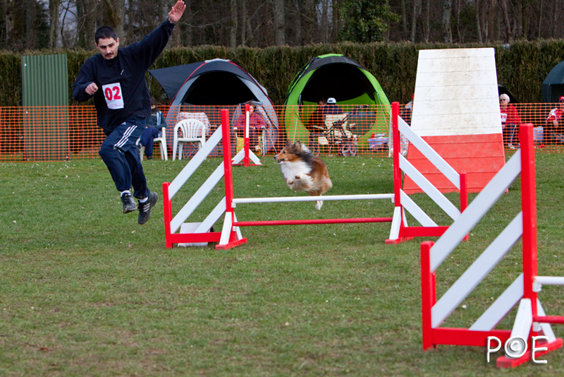 090315_MG_3072.jpg - Agility à Chamouilley