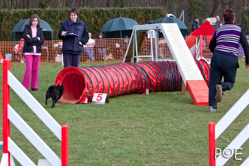 090315_MG_3085.jpg - Agility à Chamouilley