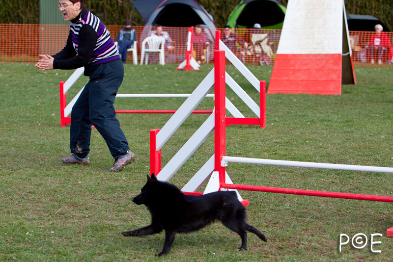090315_MG_3091.jpg - Agility à Chamouilley
