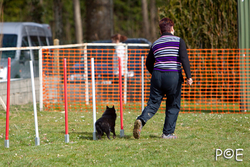 090315_MG_3092.jpg - Agility à Chamouilley